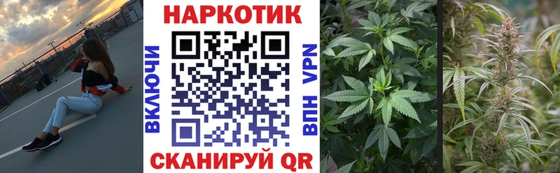 Наркотические вещества Сергач Alpha PVP  Гашиш  Канабис 