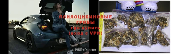 шишки Осташков