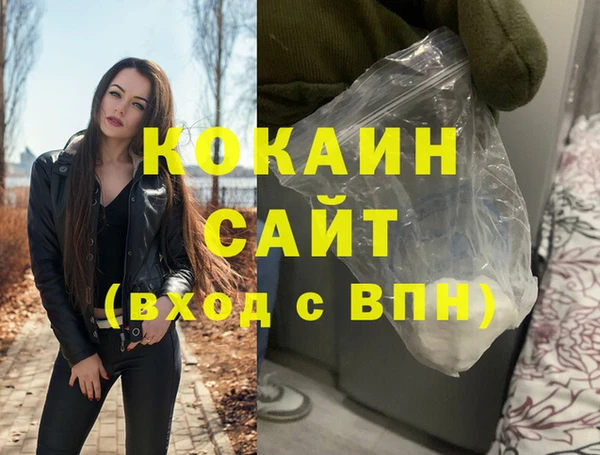 шишки Осташков