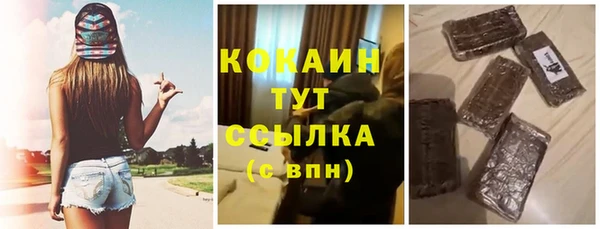 шишки Осташков