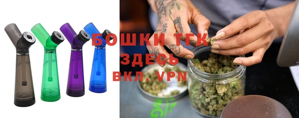 шишки Осташков