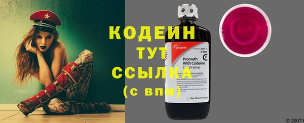 шишки Осташков