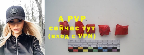 шишки Осташков
