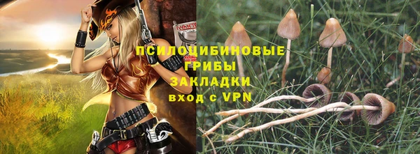 тгк Осинники