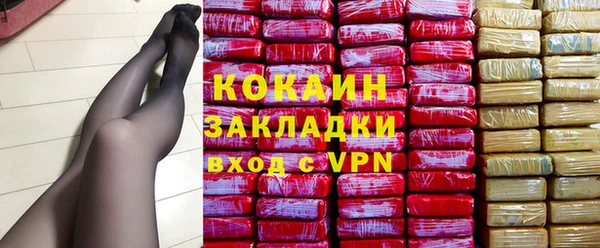 шишки Осташков