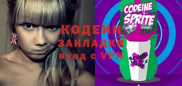 шишки Осташков