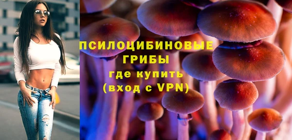 тгк Осинники