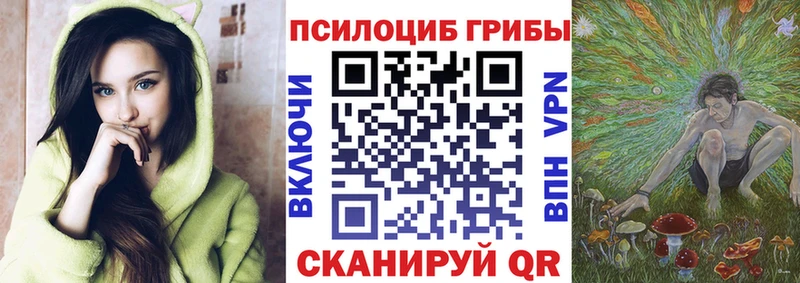 ОМГ ОМГ ссылка  Сергач  Псилоцибиновые грибы Magic Shrooms 